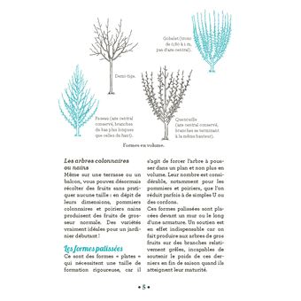 10 astuces indispensables pour tailler les arbres fruitiers