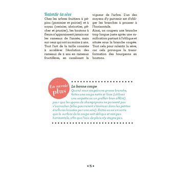10 astuces indispensables pour tailler les arbres fruitiers