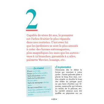 10 astuces indispensables pour tailler les arbres fruitiers