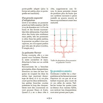 10 astuces indispensables pour tailler les arbres fruitiers