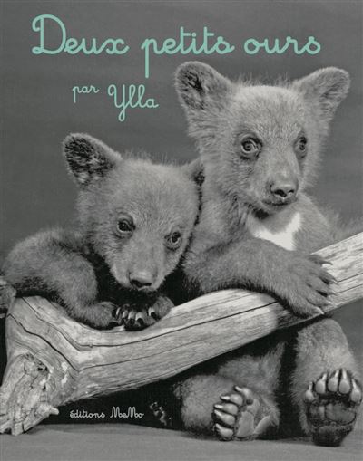 Les deux oursons