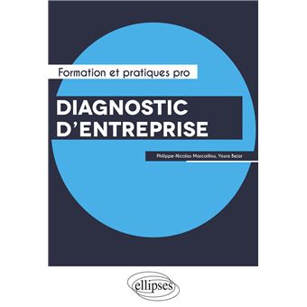 Diagnostic d'entreprise. Performance, Capital immatériel et Risques