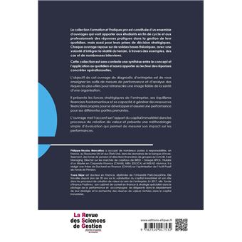 Diagnostic d'entreprise. Performance, Capital immatériel et Risques