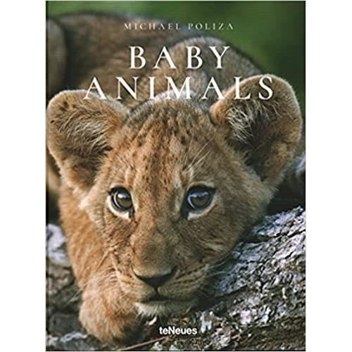 Baby Animals