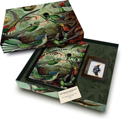 Box of Wonders - Wonders are collectible