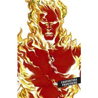 Fantastic four solo,04:la torche humaine