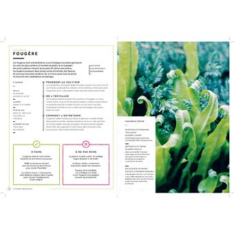 50 plantes pour ceux qui n ont pas la main verte