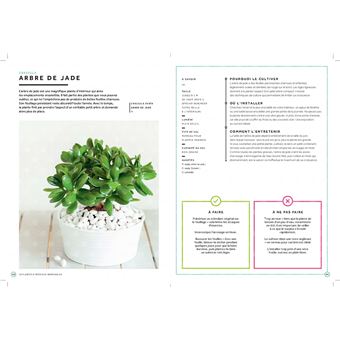 50 plantes pour ceux qui n ont pas la main verte