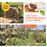 Petit manuel d'apiculture douce en ruche warre_0