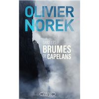 Dans les brumes de Capelans