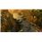 JAGGED ALLIANCE RAGE FR/NL PS4_1