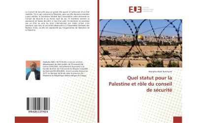 Quel statut pour la Palestine et rôle du conseil de sécurité