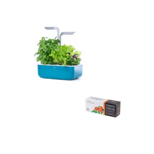 Potager Véritable Smart Teal Blue + Recharge Lingot Tomate Cerise