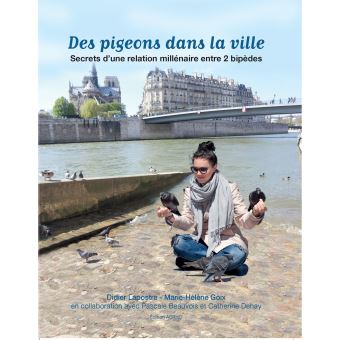Des pigeons dans la ville