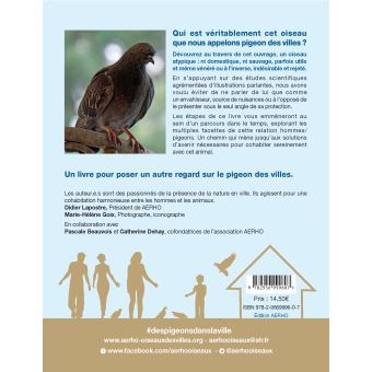 Des pigeons dans la ville