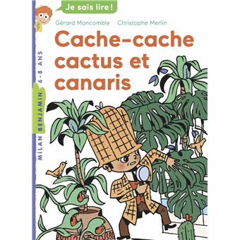 Les enquêtes fabuleuses du fameux Félix File-FilouFélix File Filou