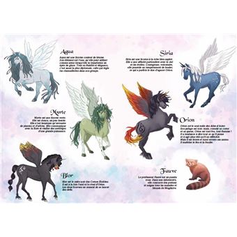 Les mondes d'Animalia - La Malédiction du coeur de pierre - Tome 6