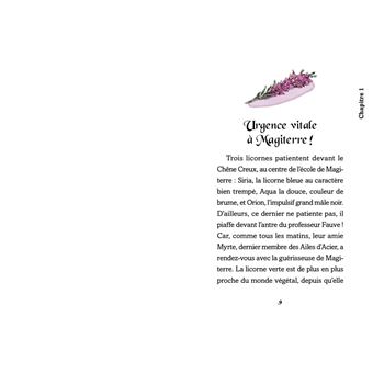 Les mondes d'Animalia - La Malédiction du coeur de pierre - Tome 6