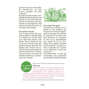 10 astuces indispensables pour débuter au potager