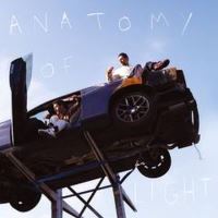 Anatomy Of Light