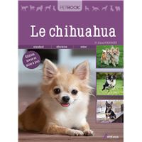 Le chihuahua