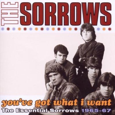 You ve got what i want the essential sorrows 1965 67