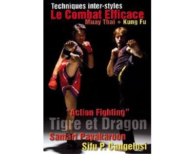 Le combat efficace