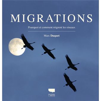 Migrations