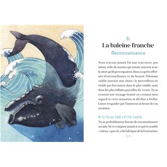 Oracle, Dauphins et Baleines