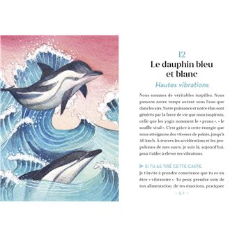 Oracle, Dauphins et Baleines