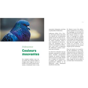 La physique pour les Nuls en 100 phénomènes