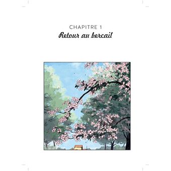 Les Contrées salées