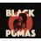 Black Pumas_0