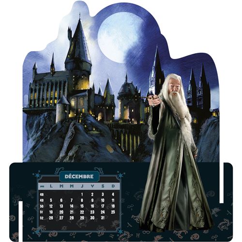 Harry Potter - Harry Potter Calendrier 3D Skyline 2022 - Collectif -  broché, Livre tous les livres à la Fnac