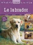 Labrador