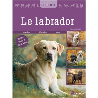 Labrador