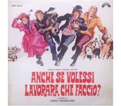 Anche Se Volessi Lavorare Che Faccio ?