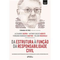 Da estrutura à função da responsabilidade civil