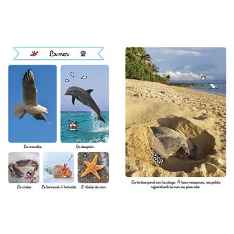 Le grand imagier sonore des animaux