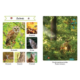 Le grand imagier sonore des animaux