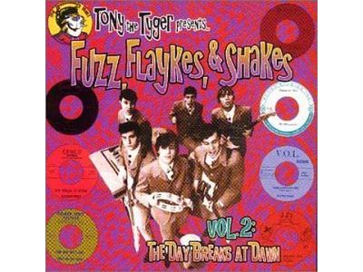 Fuzz flaykes andshakes vol 2 daybreaks at dawn