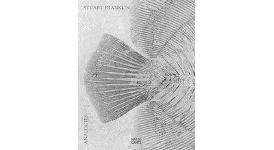 Stuart franklin analogies