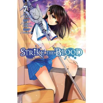 Strike the Blood, Vol. 16 (light novel) eBook by Gakuto Mikumo - EPUB Book