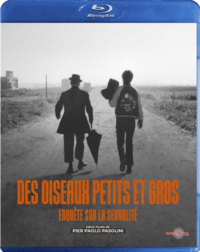Des oiseaux petits et gros, Enquête sur la sexualité Blu-ray