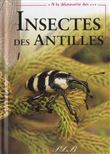 A la découverte des insectes des Antilles françaises