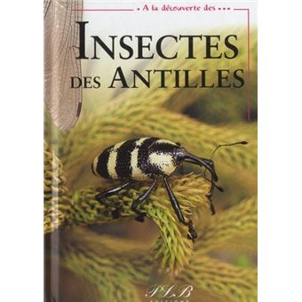 A la découverte des insectes des Antilles françaises