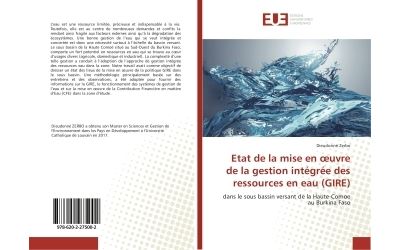 Etat de la mise en oeuvre de la gestion integree des ressour