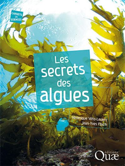 Le secret des algues