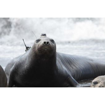 Une course pour la planète
