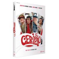 Le cerveau DVD